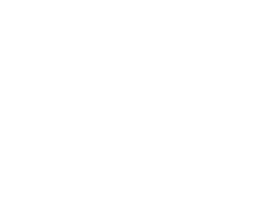 Hausch Auto Collective